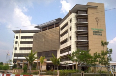 山西马来西亚丽阳助孕中心2003~2014年试管婴儿成功率对比